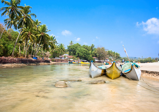 Luxury Beach Resort In Goa With Swimming Pool